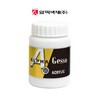 알파색채/젯소/250ml