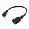 Comms/USB케이블3.1/ITB443/20cm/USB3.0 to USB3.1/연장