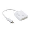 Comms/USB컨버터/USB3.1toDVI/DM195