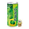 웅진/초록매실/180ml/캔