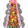 (MRO)플라워365/축하3단/고급/y_50011