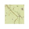 [한지로]신디자인/NO.2