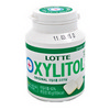 [롯데] 자일리톨 애플민트 90g