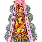 (MRO)플라워365/축하3단/고급/y_50011