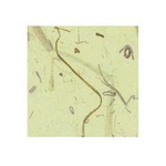 [한지로]신디자인/NO.2