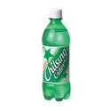 롯데/사이다/500ml/PET